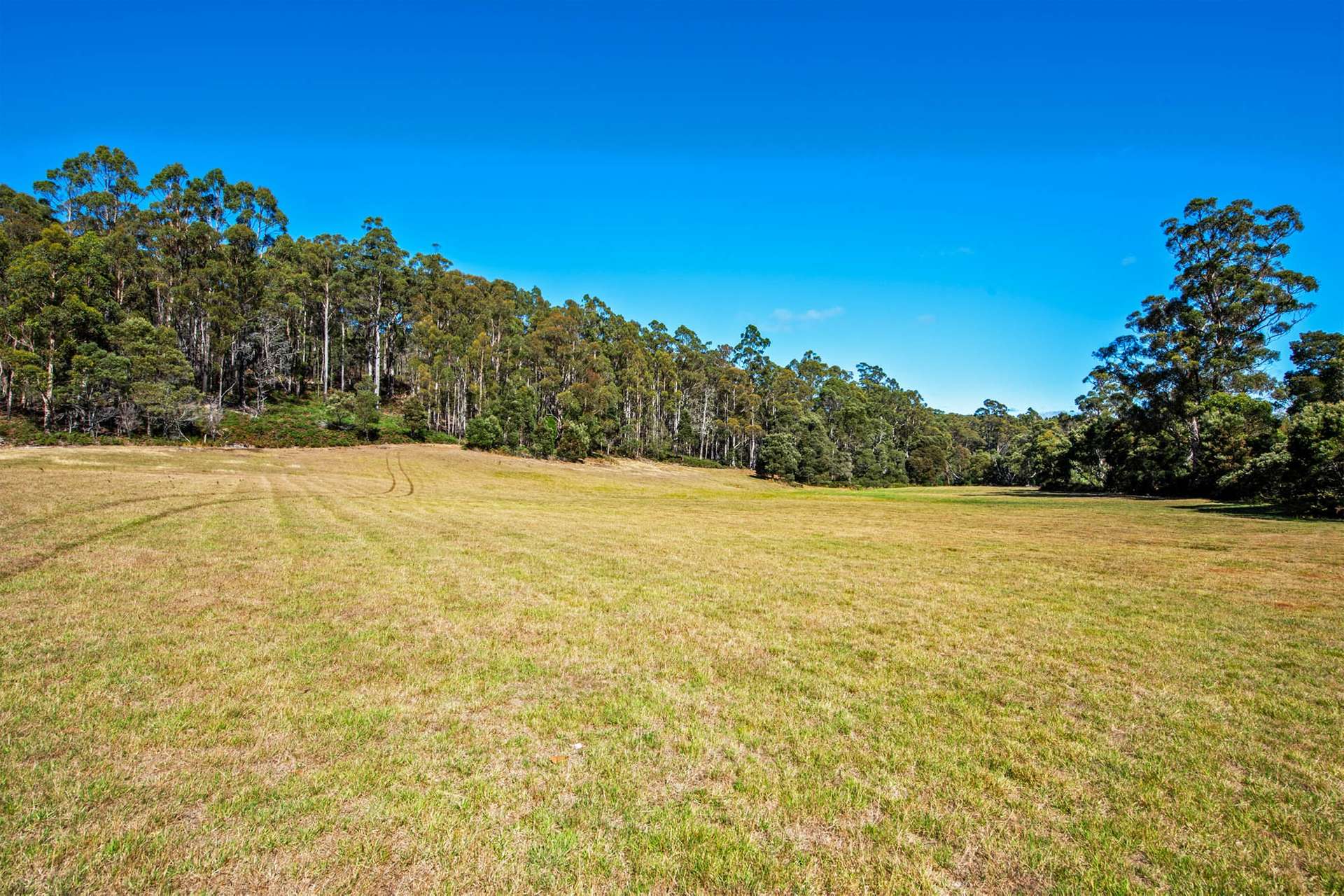 97 Newhaven Road, Montumana For Sale by Farmbuy.com - image 7