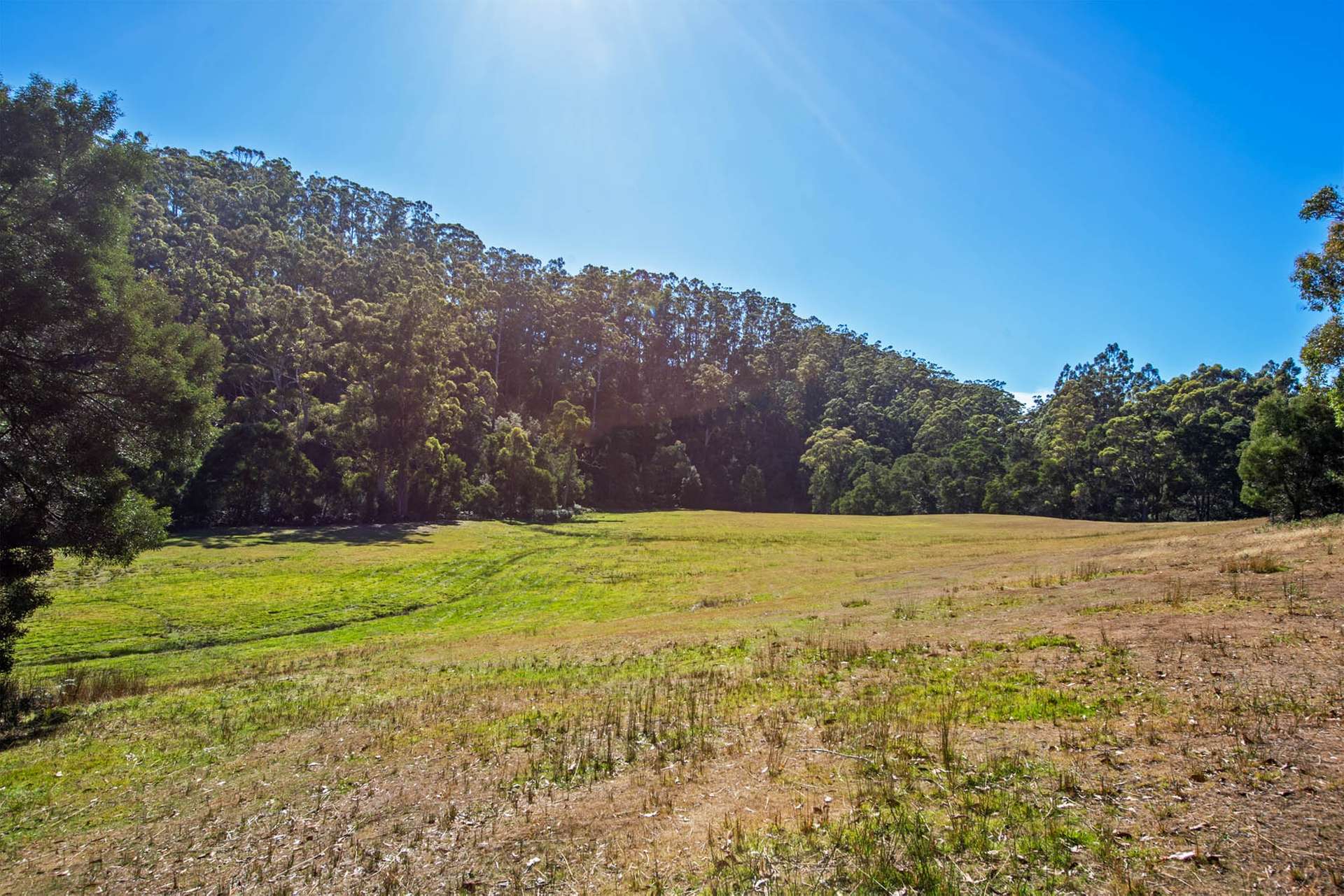 97 Newhaven Road, Montumana For Sale by Farmbuy.com - image 6