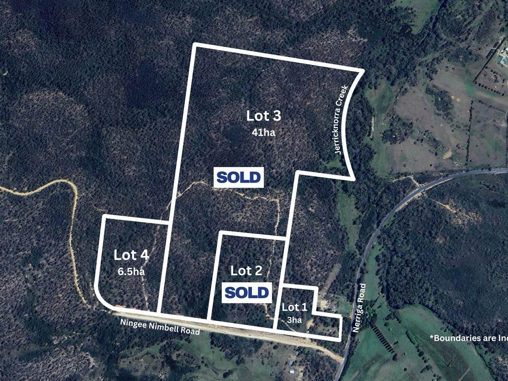 14 Ningee Nimbell Creek Road, Braidwood NSW 2622