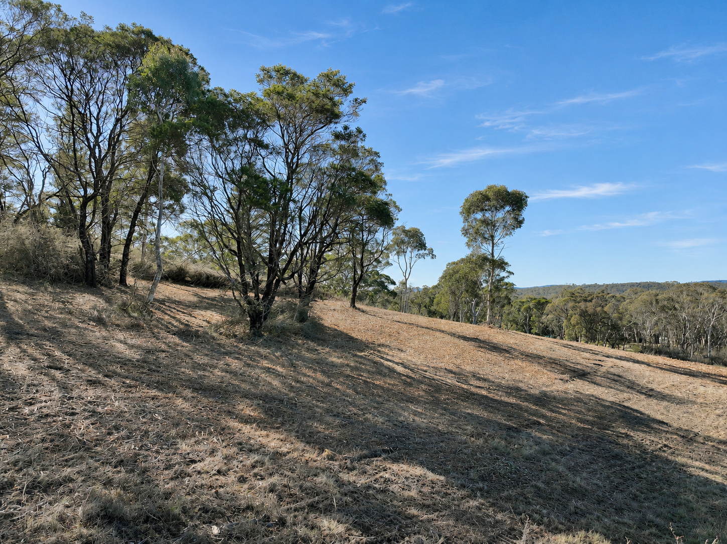 Lot 1 / 14 Ningee Nimbell Creek Road, Tomboye For Sale by Farmbuy.com - image 6