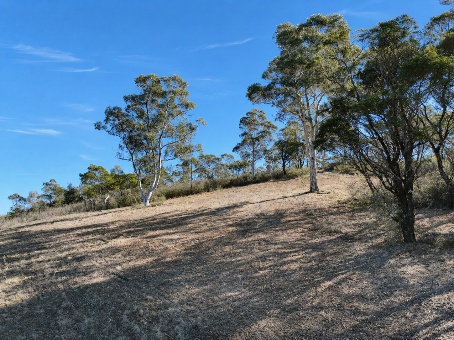 Lot 1 / 14 Ningee Nimbell Creek Road, Tomboye For Sale by Farmbuy.com - image 7