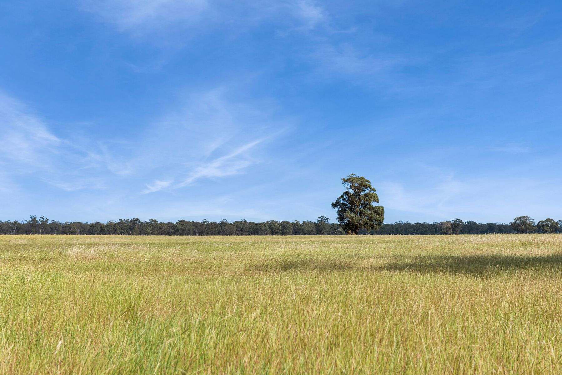 CA 15 & CA 16 Kellys Road, Kamarooka For Sale by Farmbuy.com - image 5