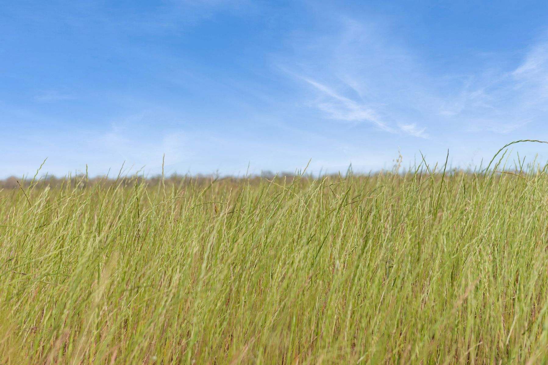 CA 15 & CA 16 Kellys Road, Kamarooka For Sale by Farmbuy.com - image 7