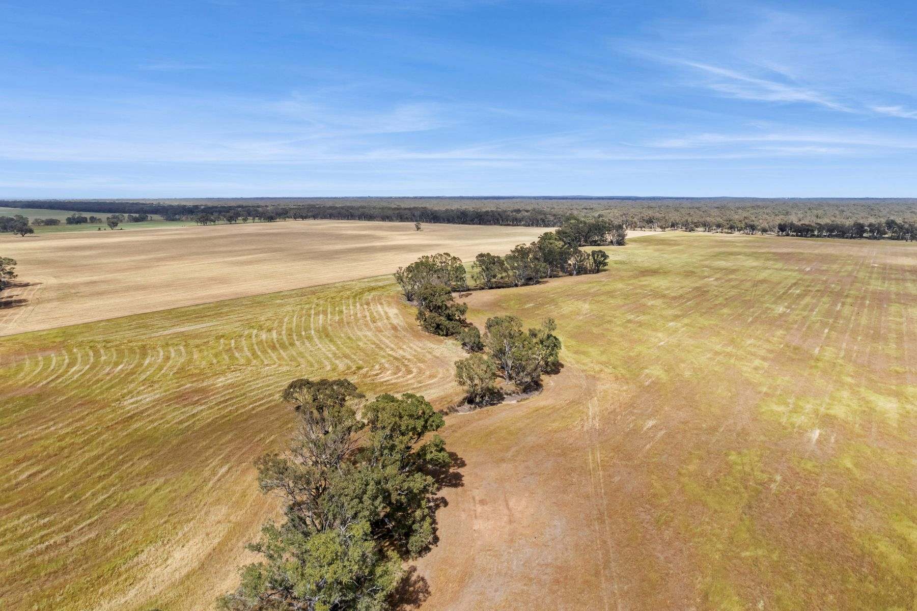 CA 15 & CA 16 Kellys Road, Kamarooka For Sale by Farmbuy.com - image 6