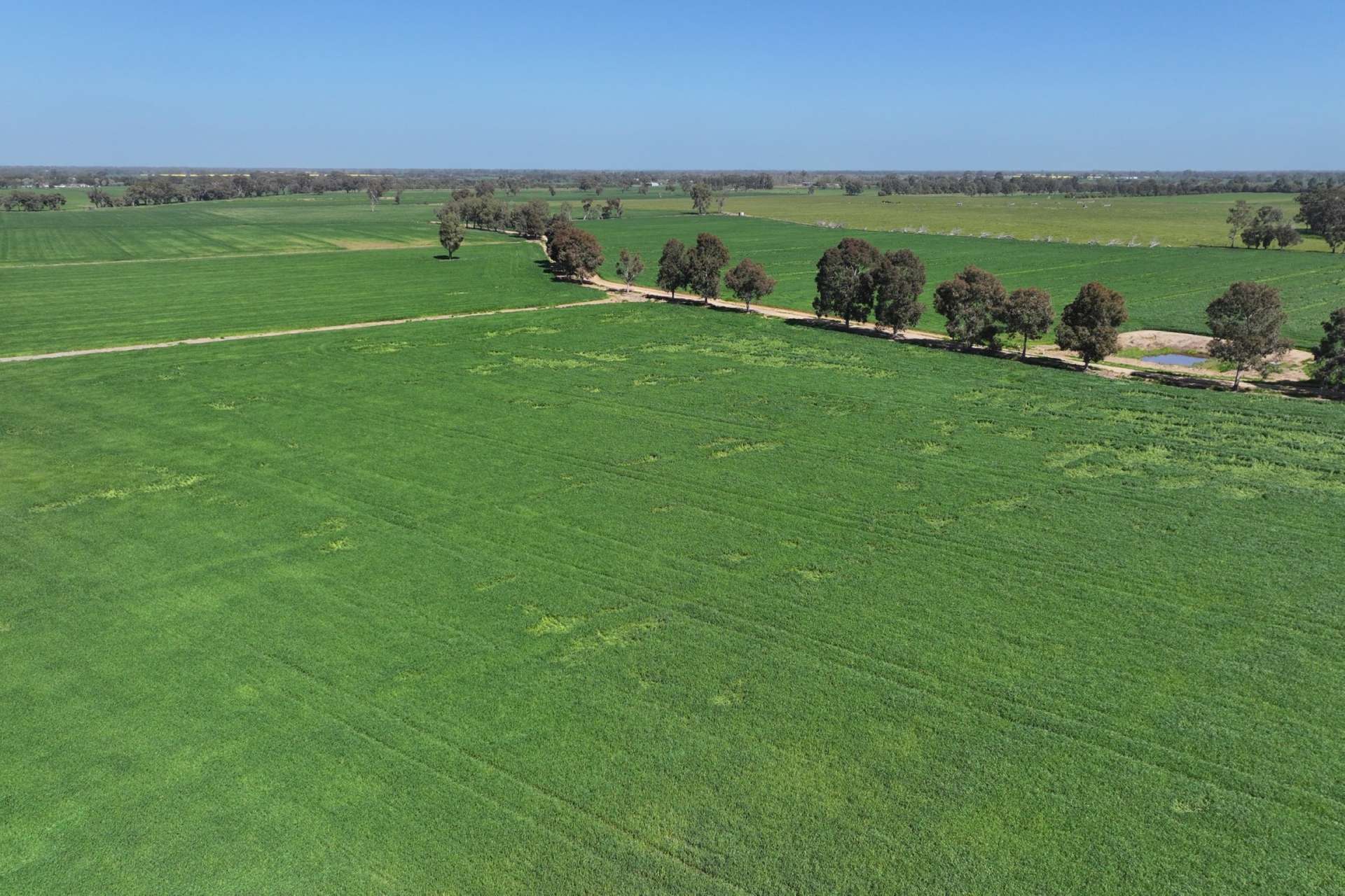 Lot 43 O'Donnell Rd, Rochester For Sale by Farmbuy.com - image 22