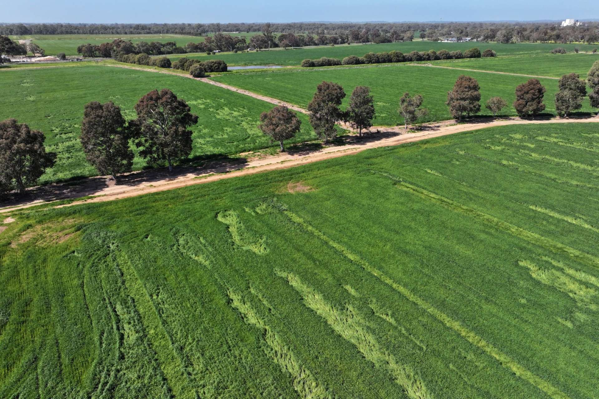 Lot 43 O'Donnell Rd, Rochester For Sale by Farmbuy.com - image 24