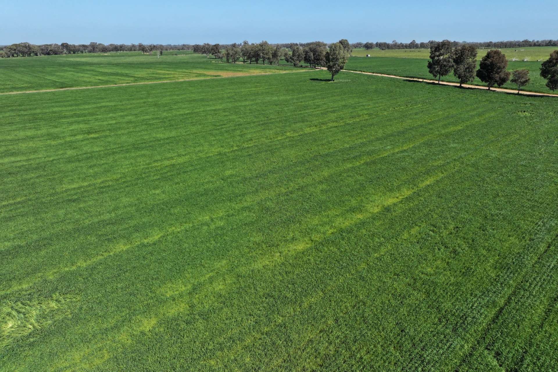 Lot 43 O'Donnell Rd, Rochester For Sale by Farmbuy.com - image 25