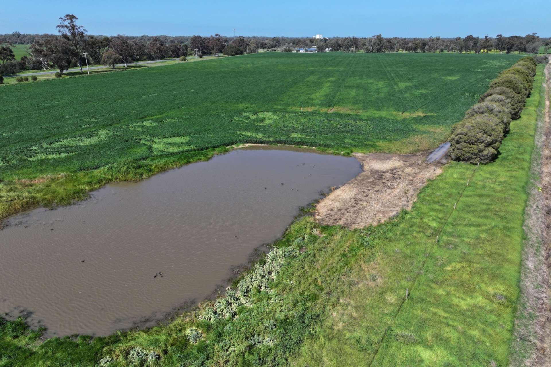 Lot 43 O'Donnell Rd, Rochester For Sale by Farmbuy.com - image 23