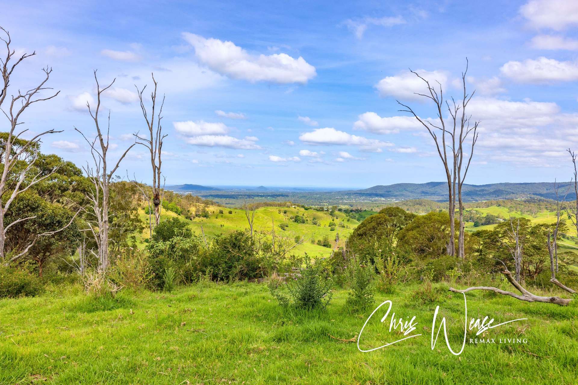Lot 510 Newman Lane, Delaneys Creek Sold by Farmbuy.com - image 10