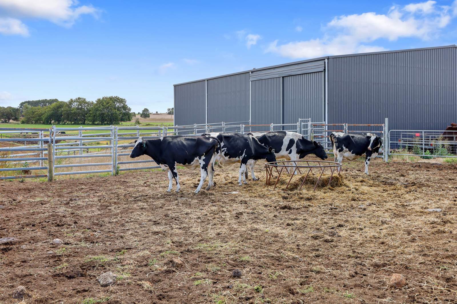 401 Purrumbete Estate Road, Koallah For Sale by Farmbuy.com - image 28