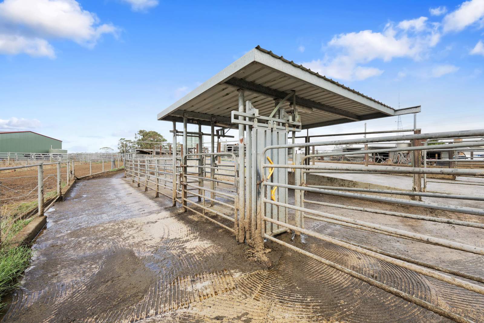401 Purrumbete Estate Road, Koallah For Sale by Farmbuy.com - image 24