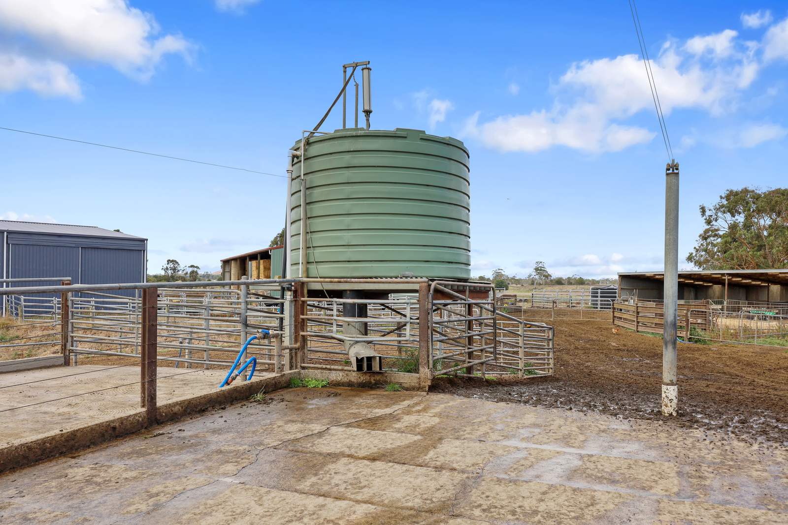 401 Purrumbete Estate Road, Koallah For Sale by Farmbuy.com - image 23