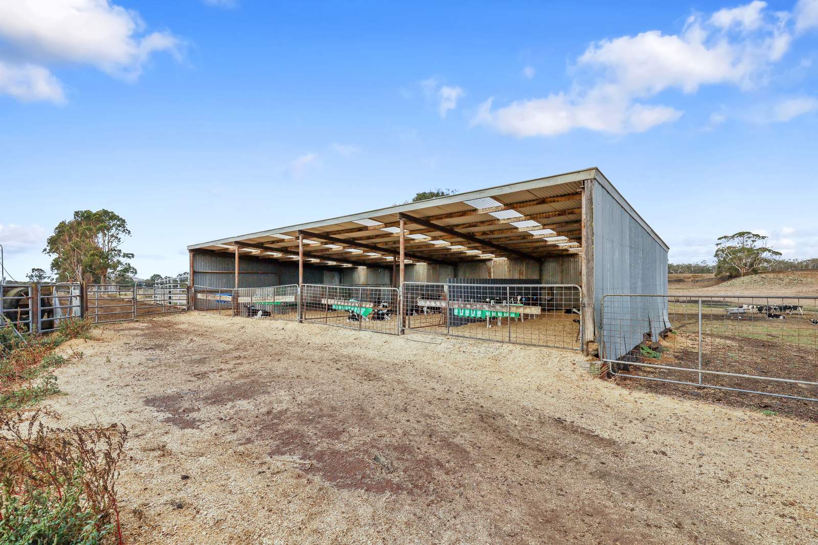 401 Purrumbete Estate Road, Koallah For Sale by Farmbuy.com - image 29