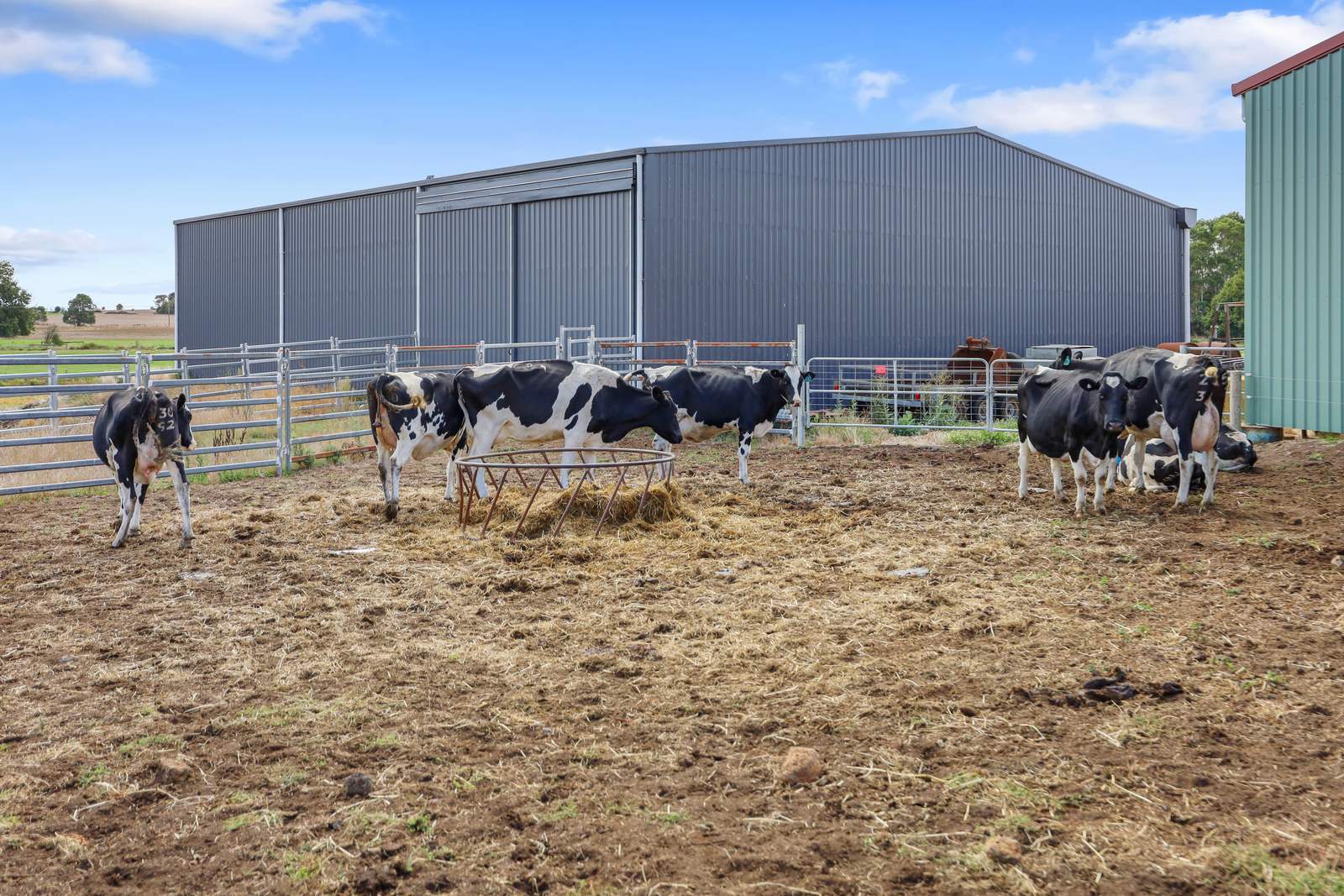 401 Purrumbete Estate Road, Koallah For Sale by Farmbuy.com - image 27