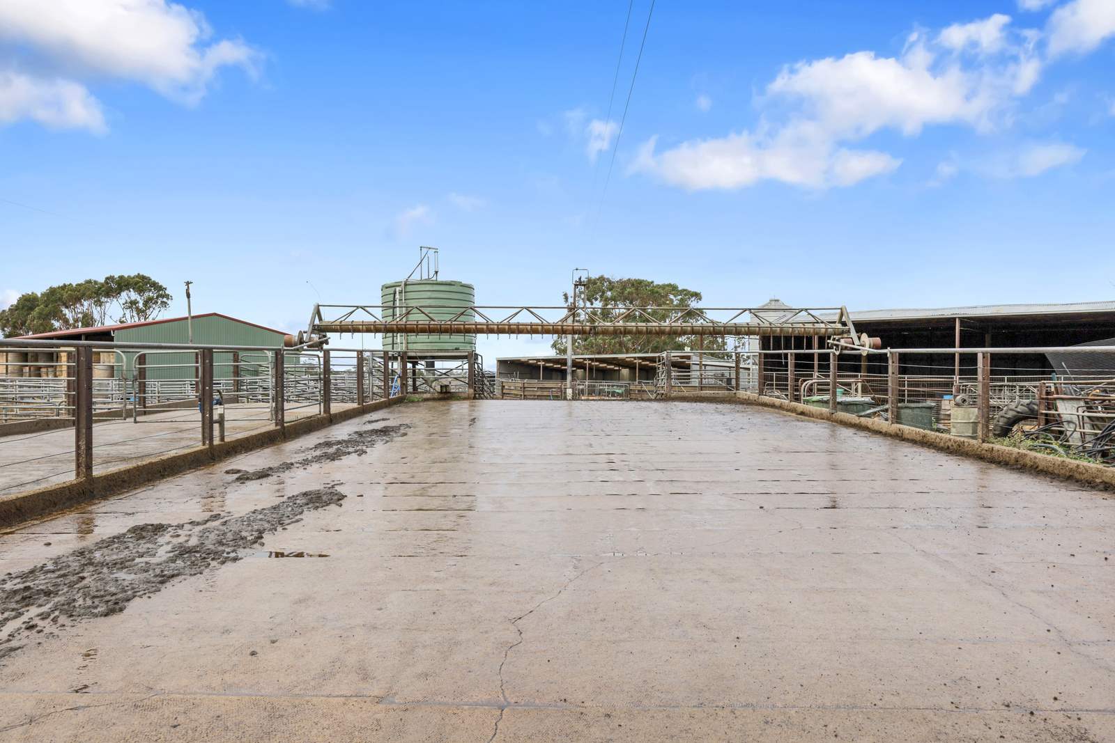 401 Purrumbete Estate Road, Koallah For Sale by Farmbuy.com - image 22