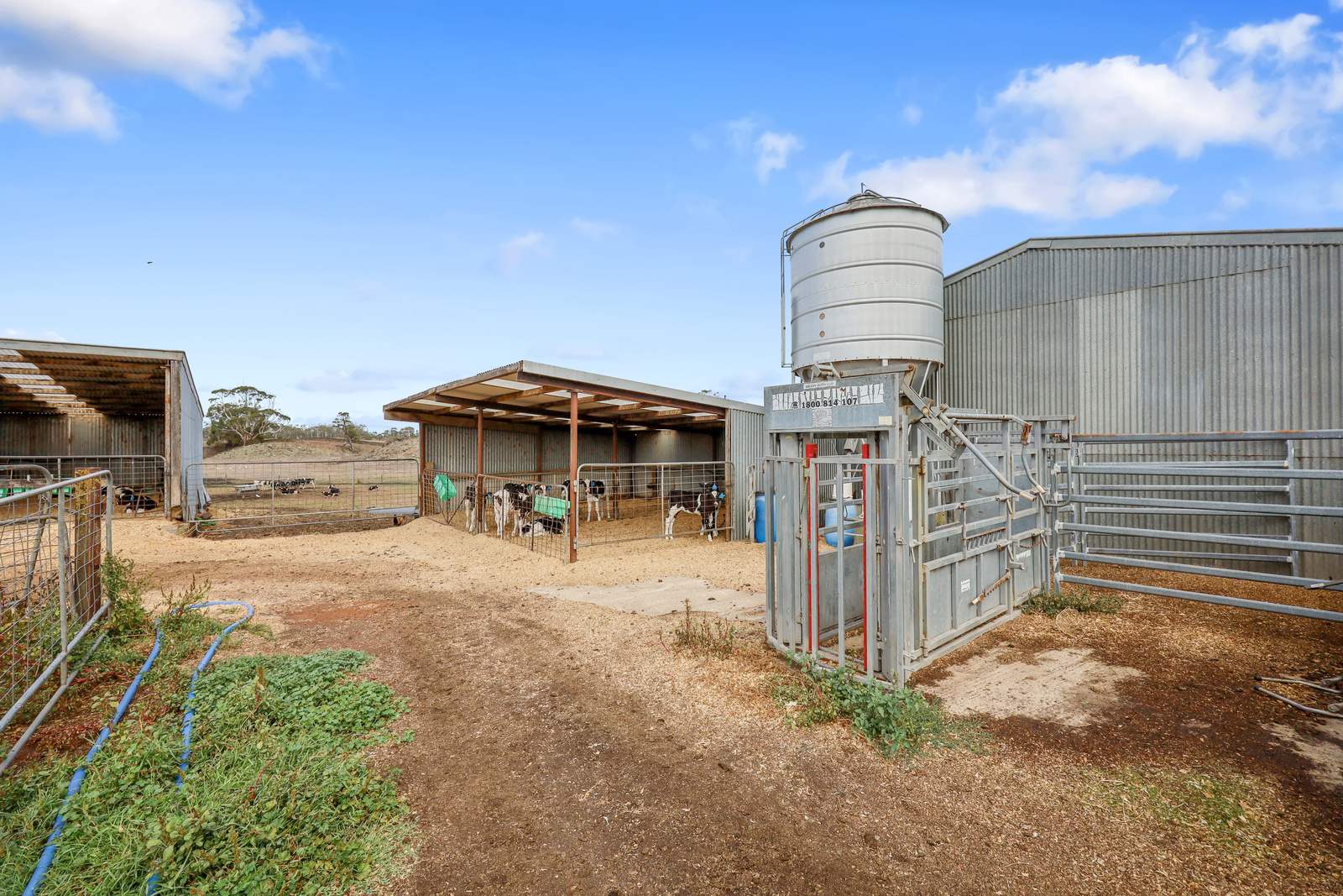 401 Purrumbete Estate Road, Koallah For Sale by Farmbuy.com - image 31