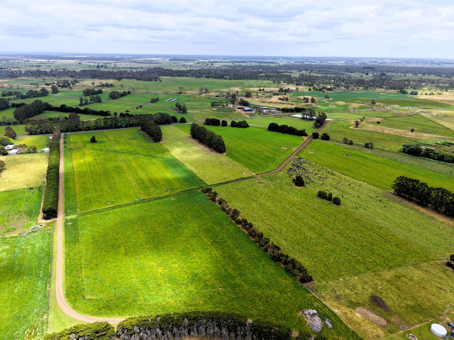 401 Purrumbete Estate Road, Koallah For Sale by Farmbuy.com - image 3