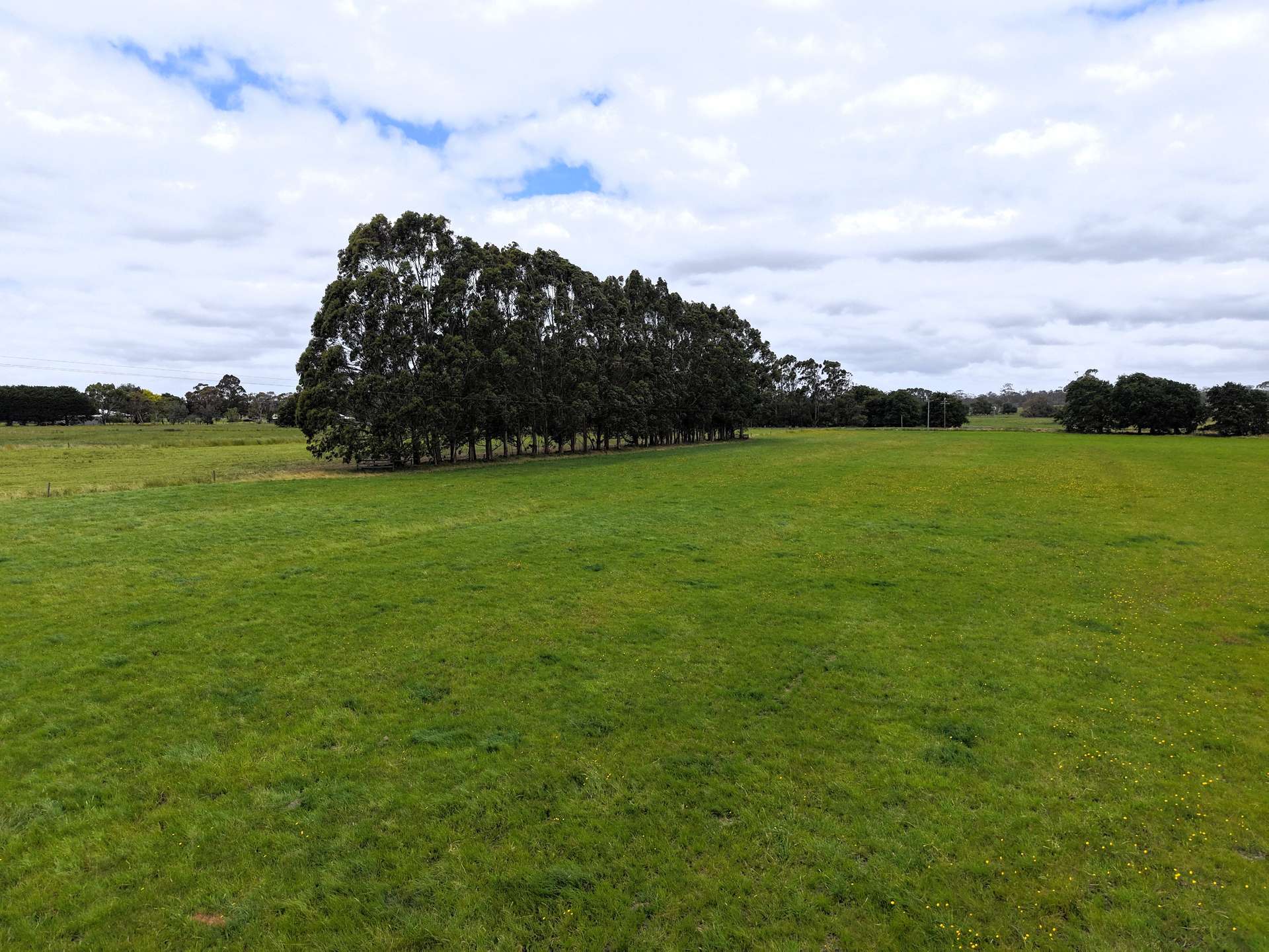 401 Purrumbete Estate Road, Koallah For Sale by Farmbuy.com - image 10