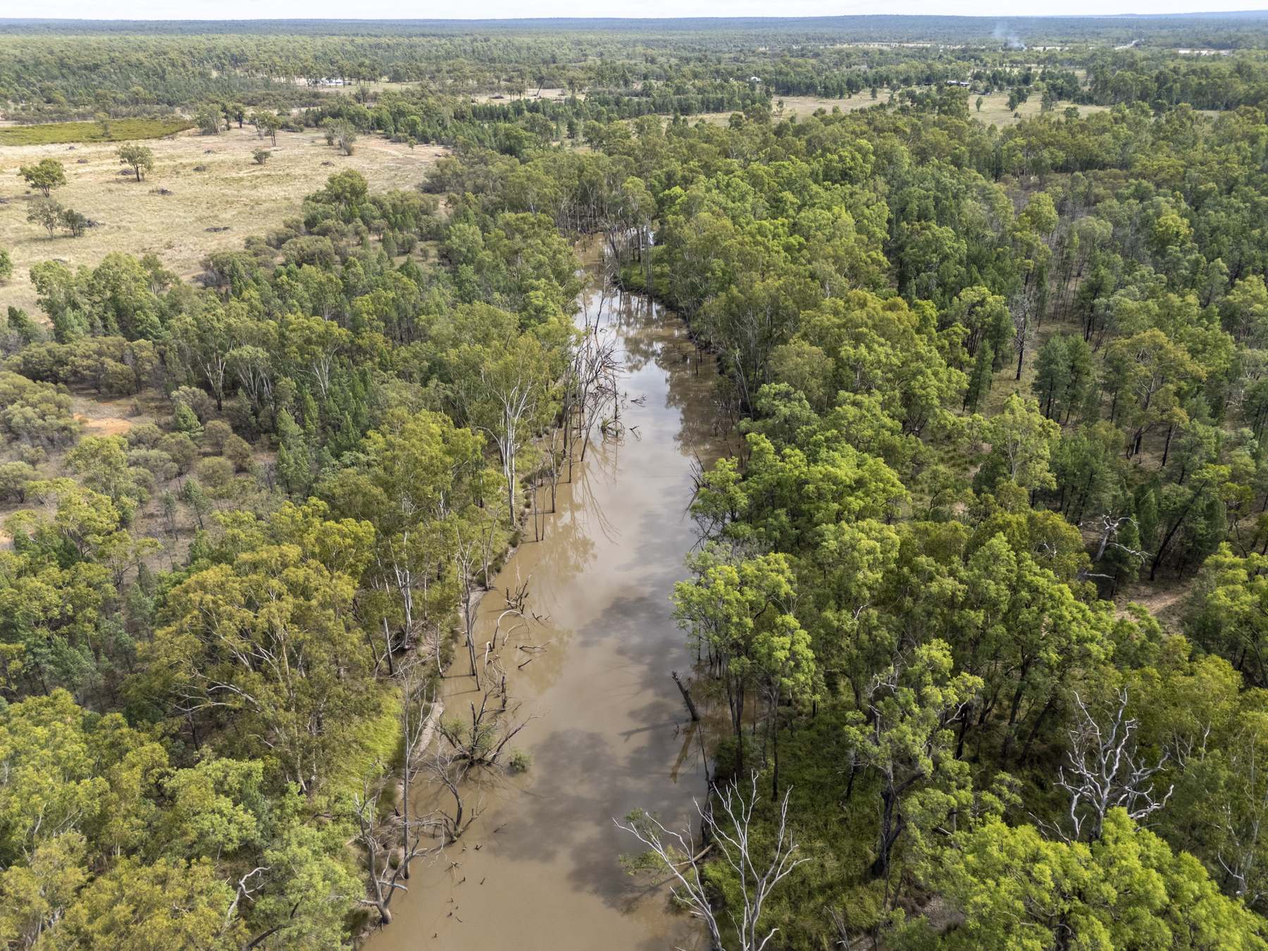 127 Butlers Road, Miles For Sale by Farmbuy.com - image 6