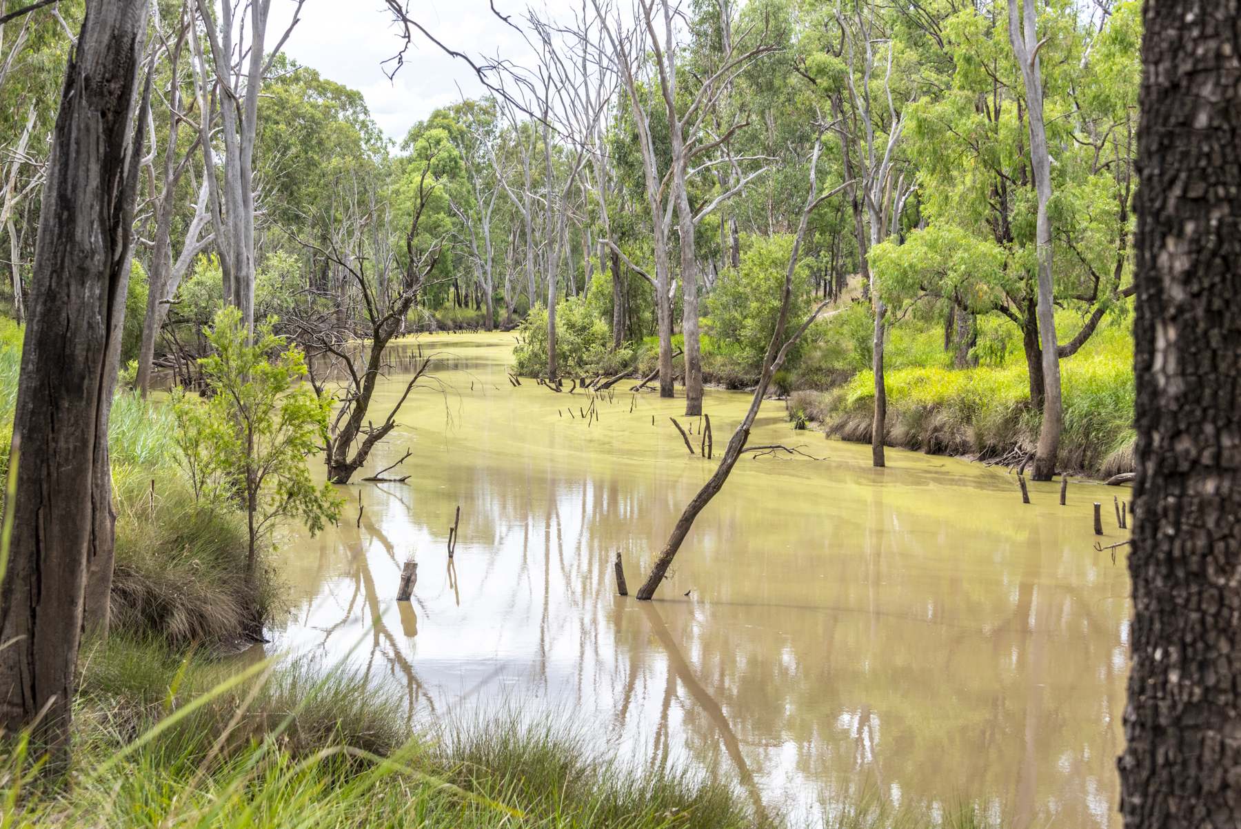 127 Butlers Road, Miles For Sale by Farmbuy.com - image 28