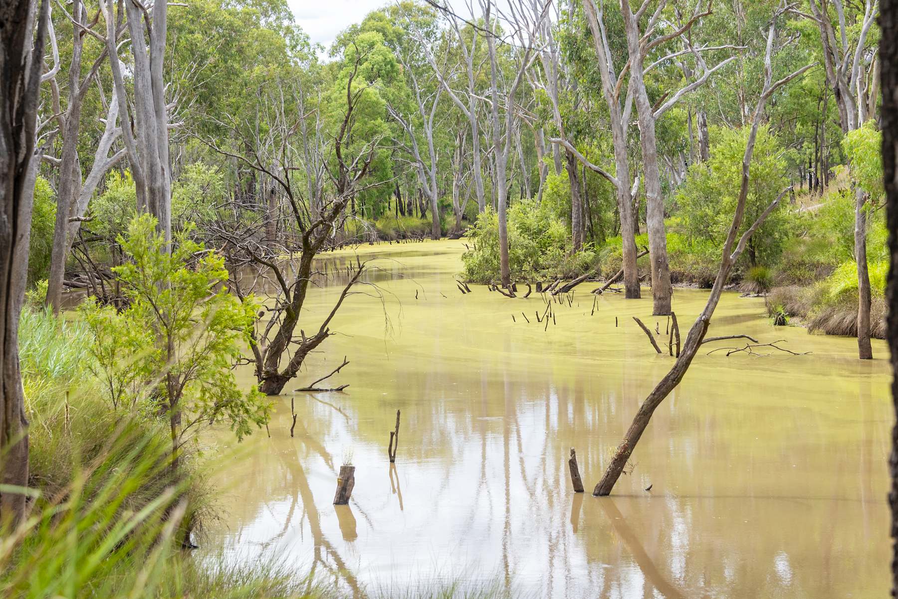 127 Butlers Road, Miles For Sale by Farmbuy.com - image 7