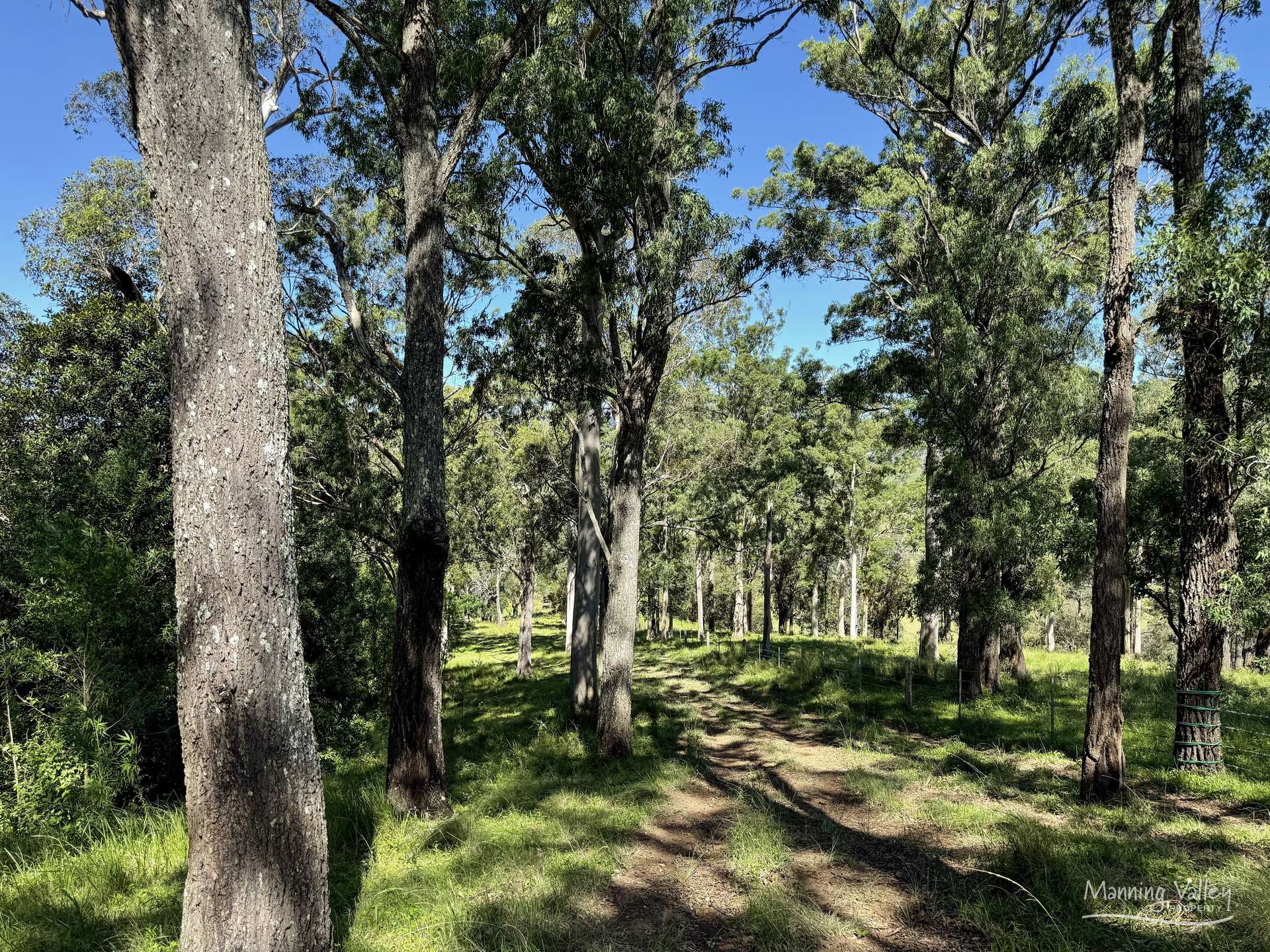 212 Bulby Brush Road, Bunyah For Sale by Farmbuy.com - image 4