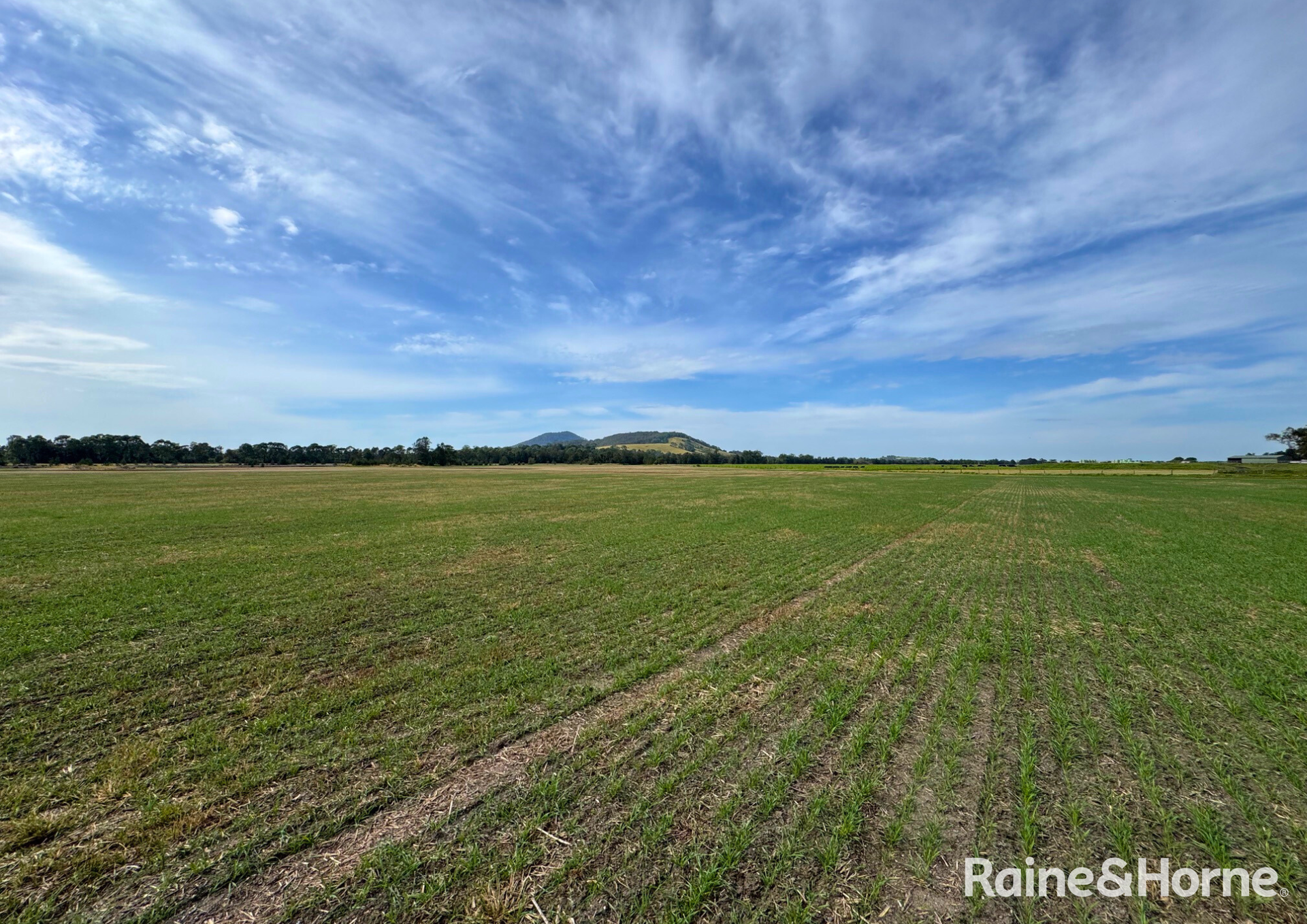 210 Jennings Lane, Bolong For Sale by Farmbuy.com - image 12