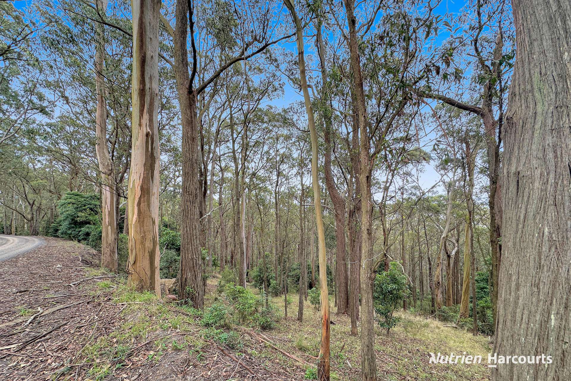 565 Hedley Range Road, Binginwarri Sold by Farmbuy.com - image 3