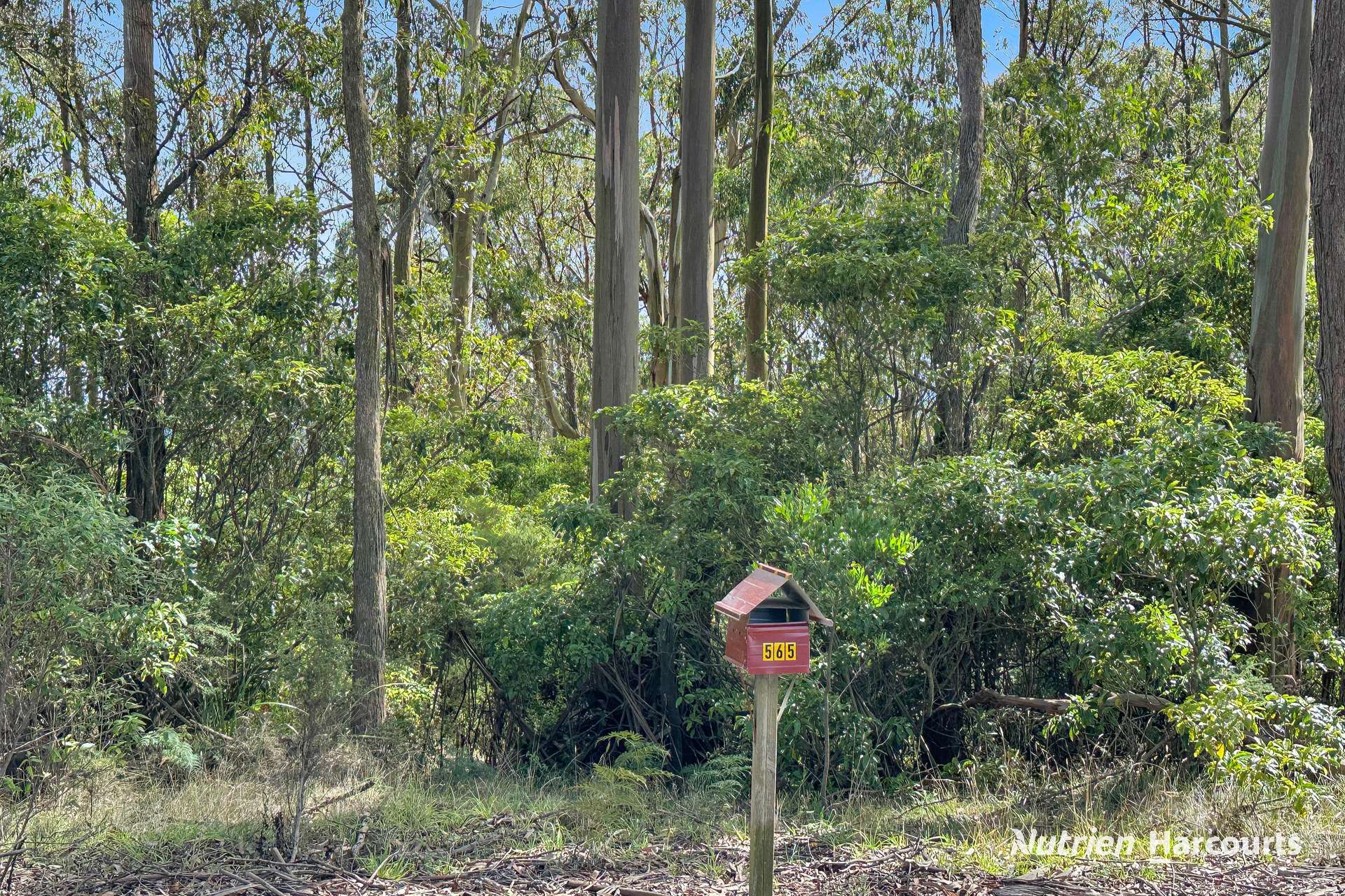 565 Hedley Range Road, Binginwarri Sold by Farmbuy.com - image 2
