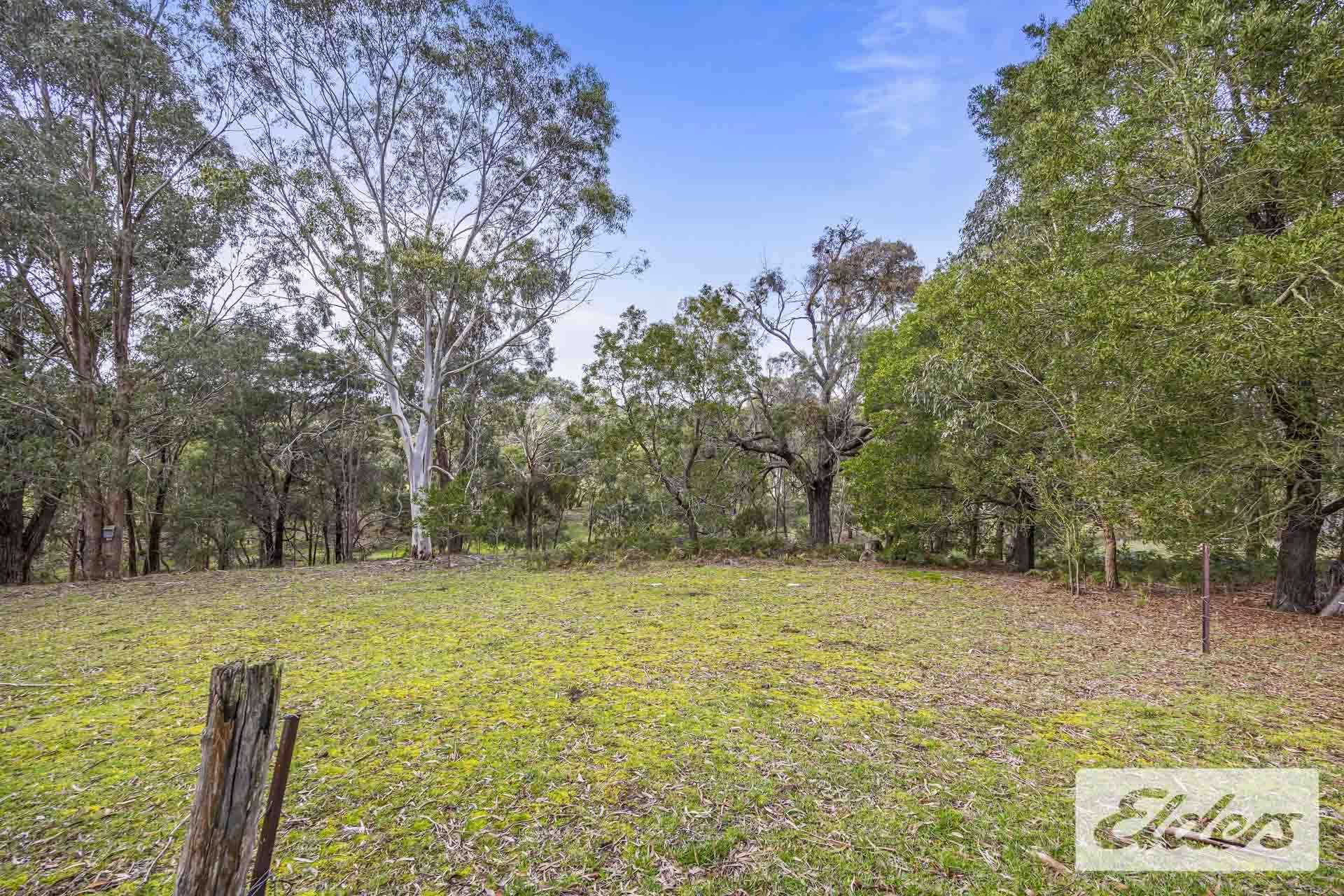 Lot 25 (26 Hewitts Road, Linton For Sale by Farmbuy.com - image 7
