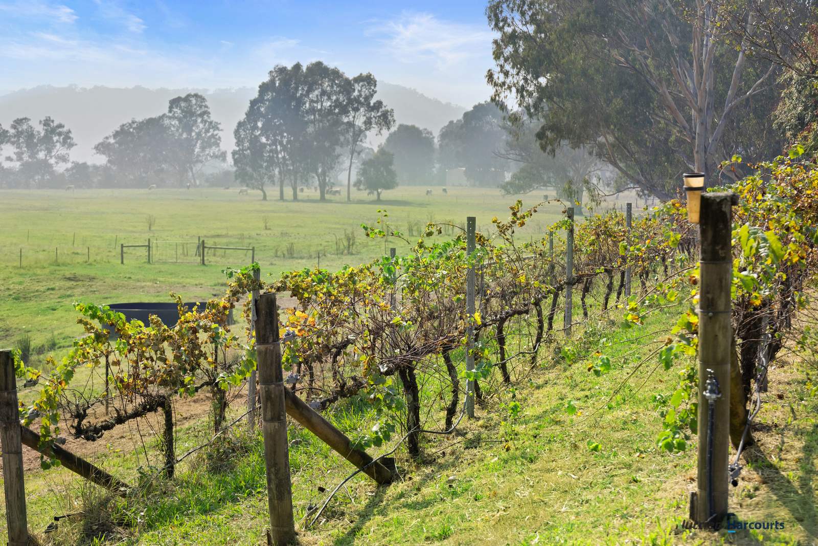 614 Goulburn Valley Highway, Thornton For Sale by Farmbuy.com - image 20