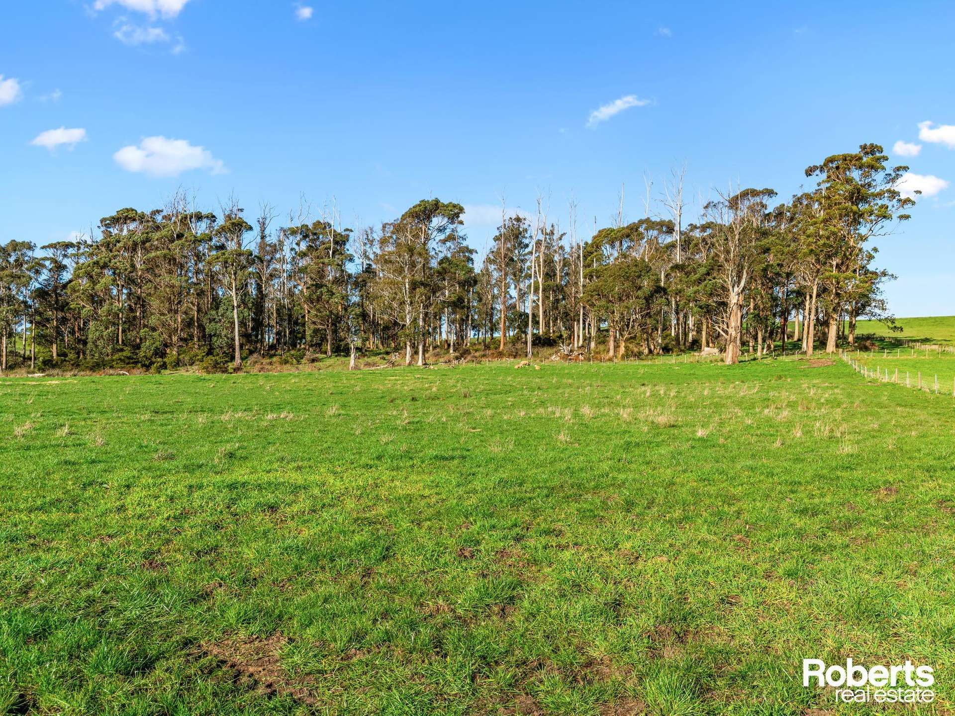 449 Chapel Road, Sassafras For Sale by Farmbuy.com - image 25
