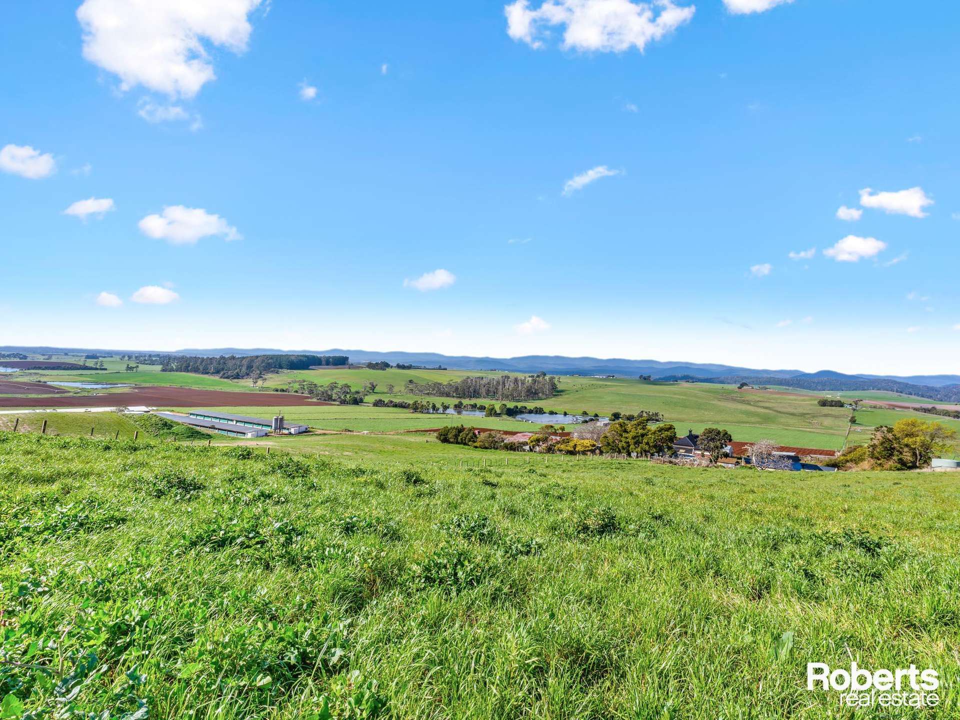 449 Chapel Road, Sassafras For Sale by Farmbuy.com - image 13