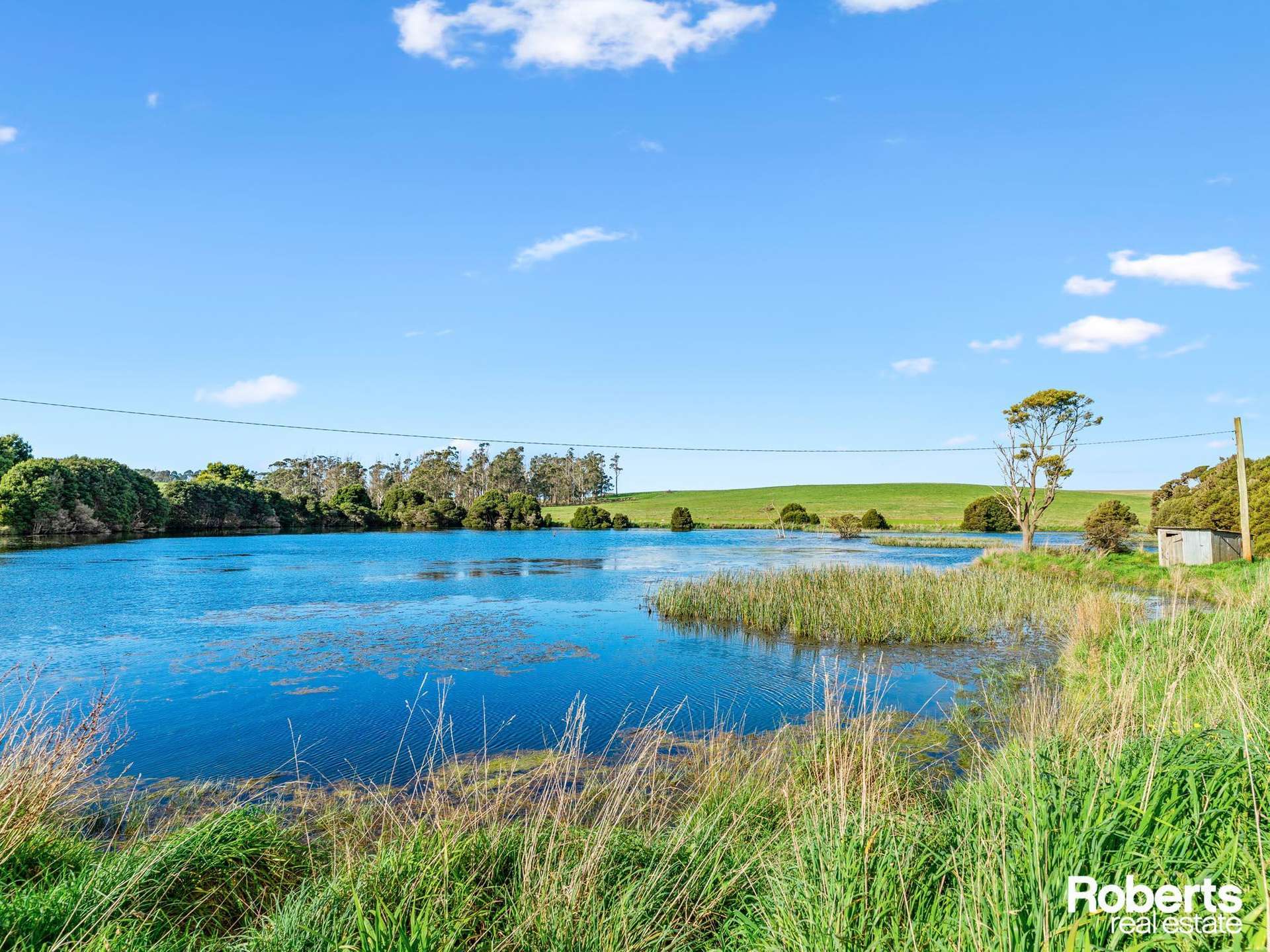 449 Chapel Road, Sassafras For Sale by Farmbuy.com - image 6