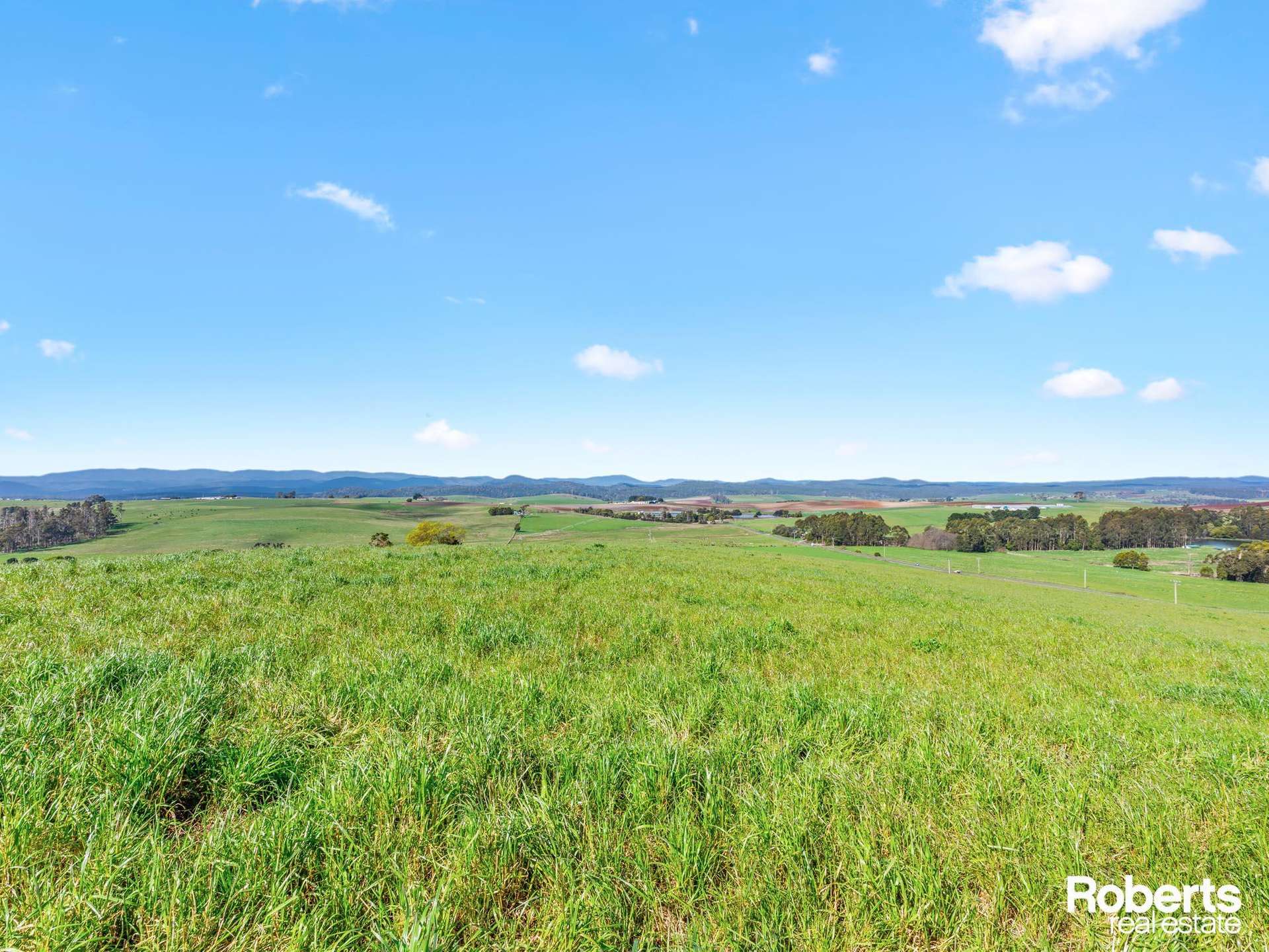 449 Chapel Road, Sassafras For Sale by Farmbuy.com - image 10