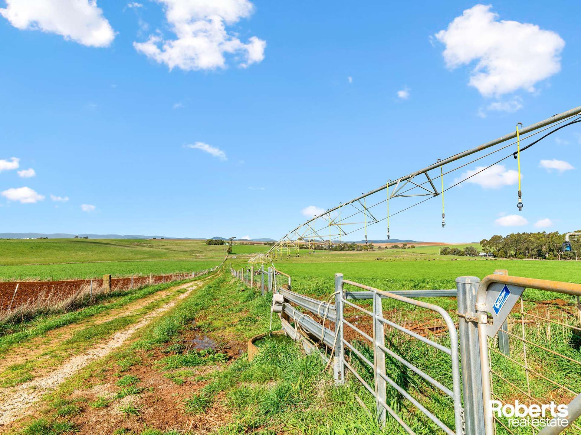 449 Chapel Road, Sassafras For Sale by Farmbuy.com - image 5