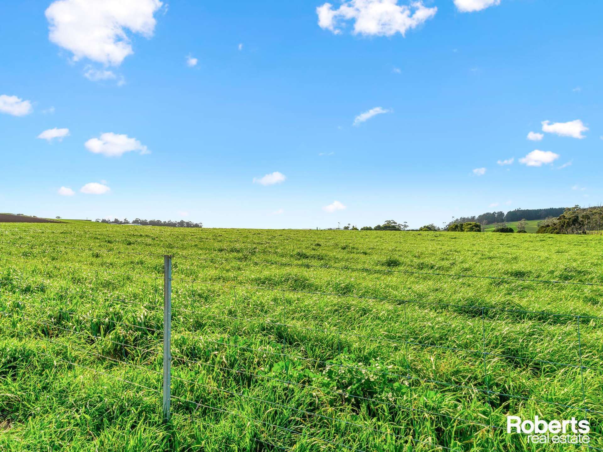 449 Chapel Road, Sassafras For Sale by Farmbuy.com - image 14