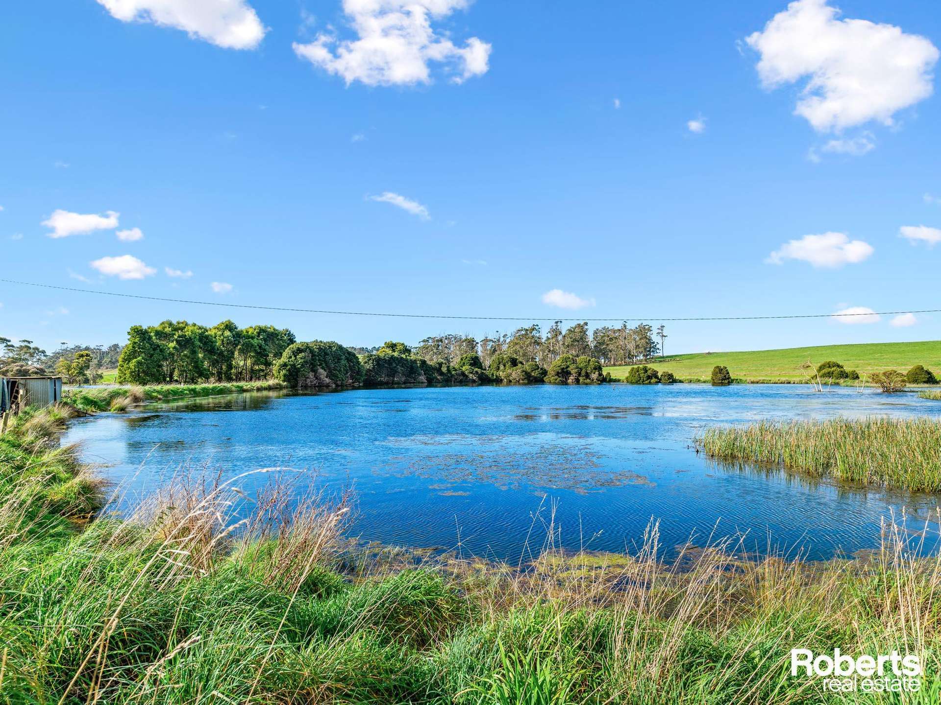 449 Chapel Road, Sassafras For Sale by Farmbuy.com - image 4