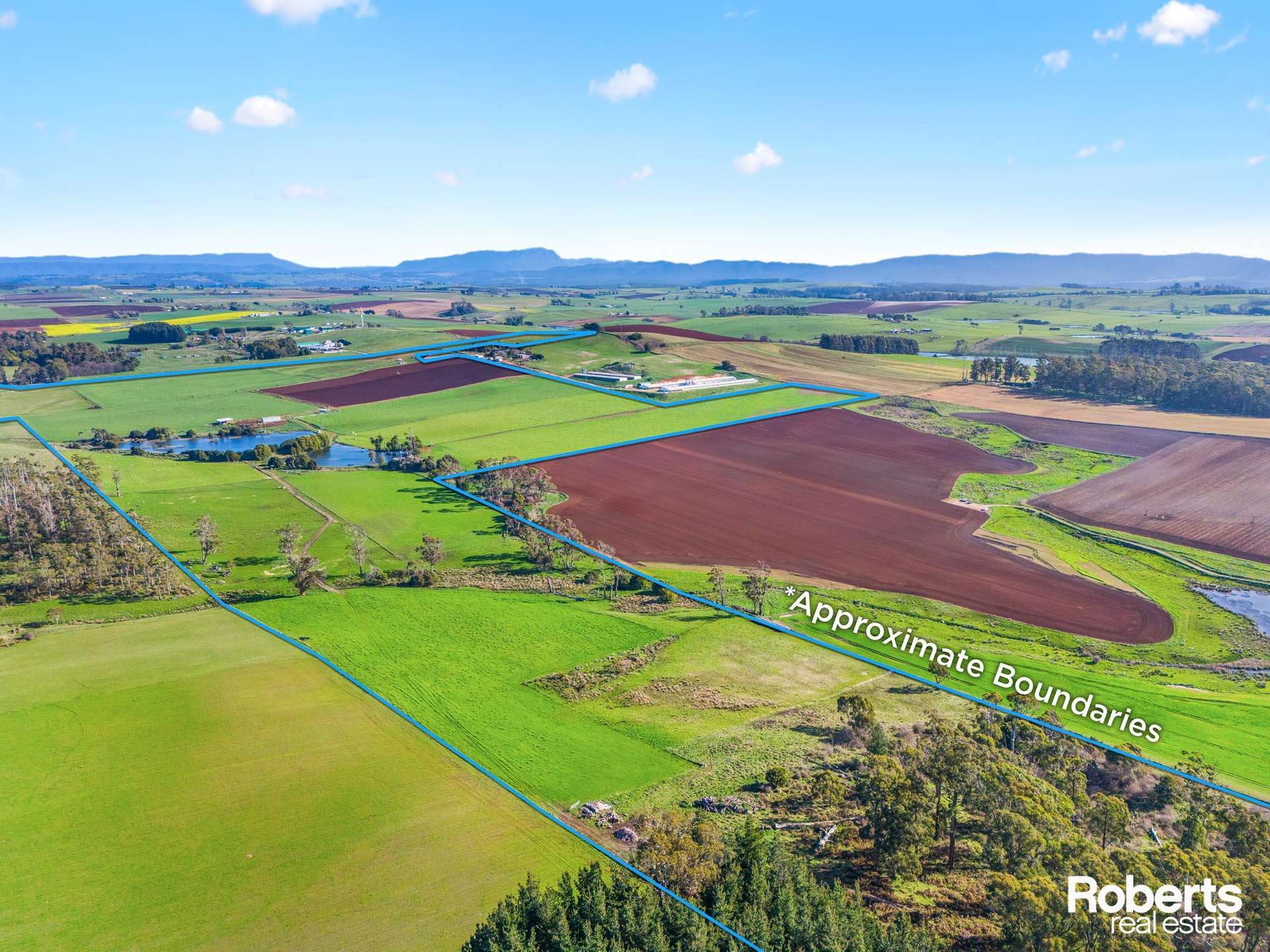 449 Chapel Road, Sassafras For Sale by Farmbuy.com - image 7