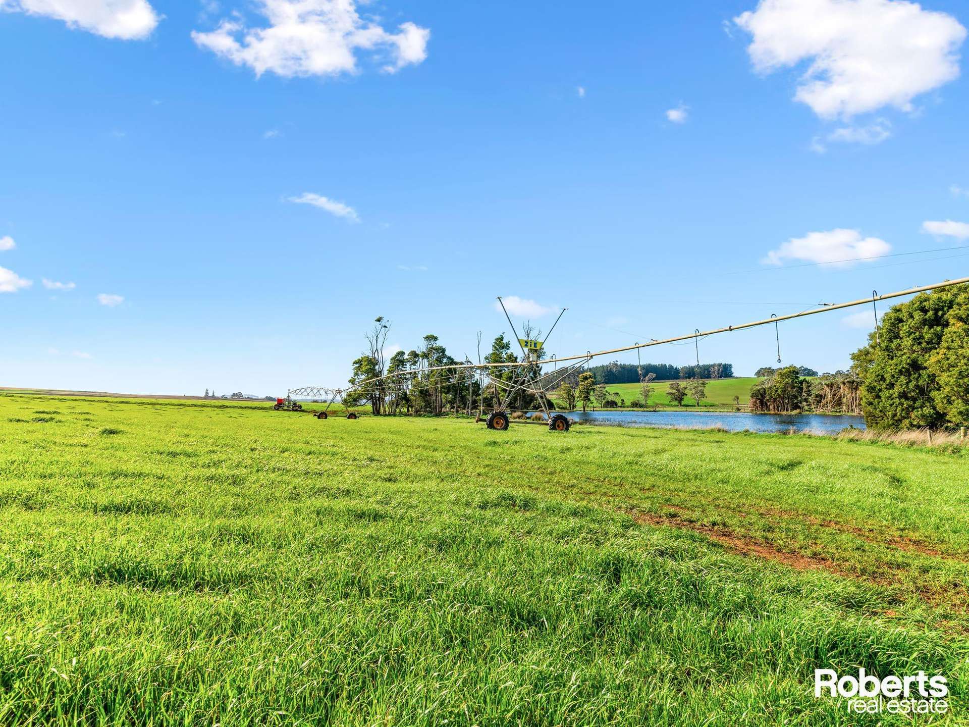 449 Chapel Road, Sassafras For Sale by Farmbuy.com - image 20