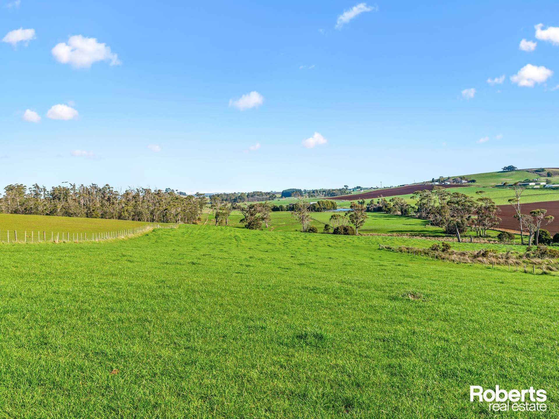 449 Chapel Road, Sassafras For Sale by Farmbuy.com - image 23