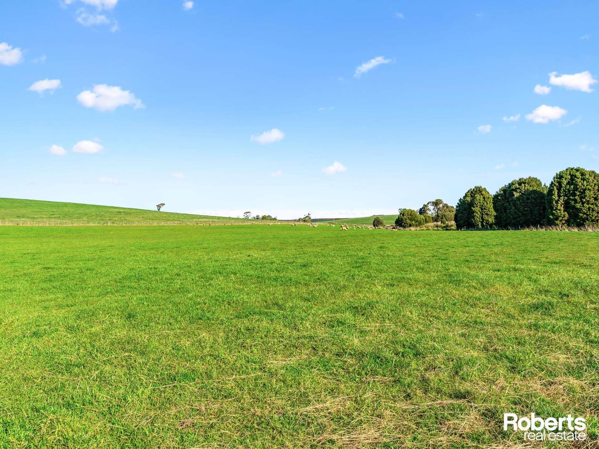 449 Chapel Road, Sassafras For Sale by Farmbuy.com - image 22