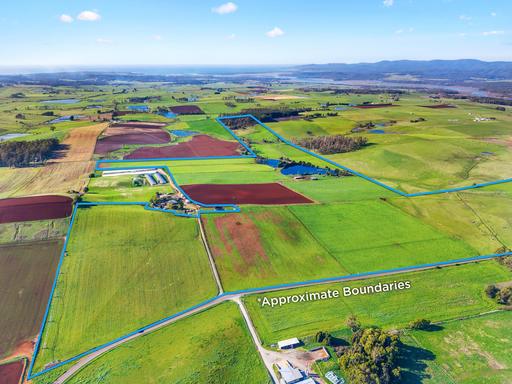 Farm For Sale - TAS - Sassafras - 7307 - Your Gateway to Agricultural Prosperity 