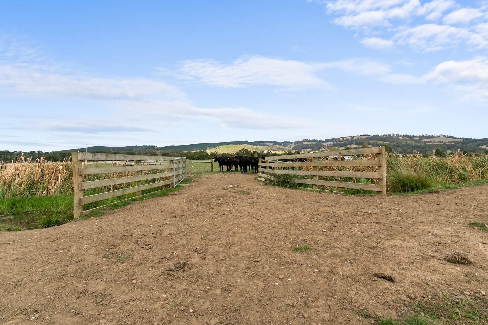 Lot 2 Waterloo Road, Trafalgar Sold by Farmbuy.com - image 20