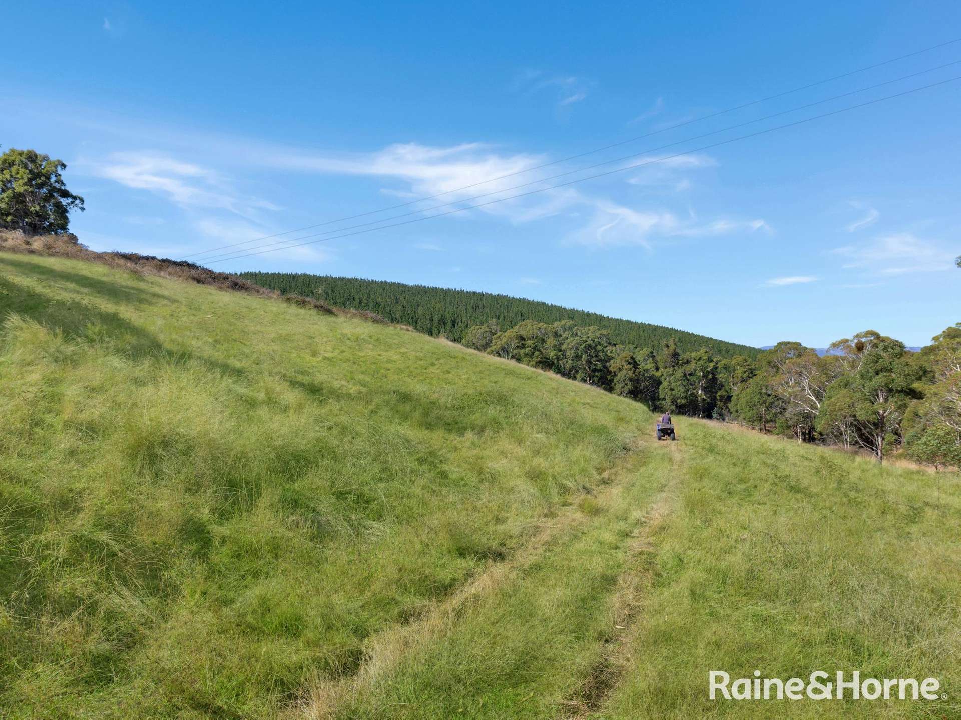 Part 2899 Great Western Highway, Meadow Flat For Sale by Farmbuy.com - image 9