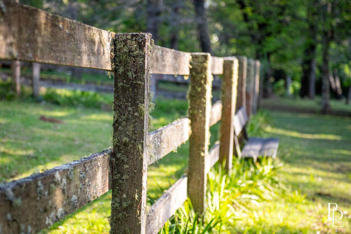 1025 Kangaroo Valley Road, Bellawongarah For Sale by Farmbuy.com - image 17