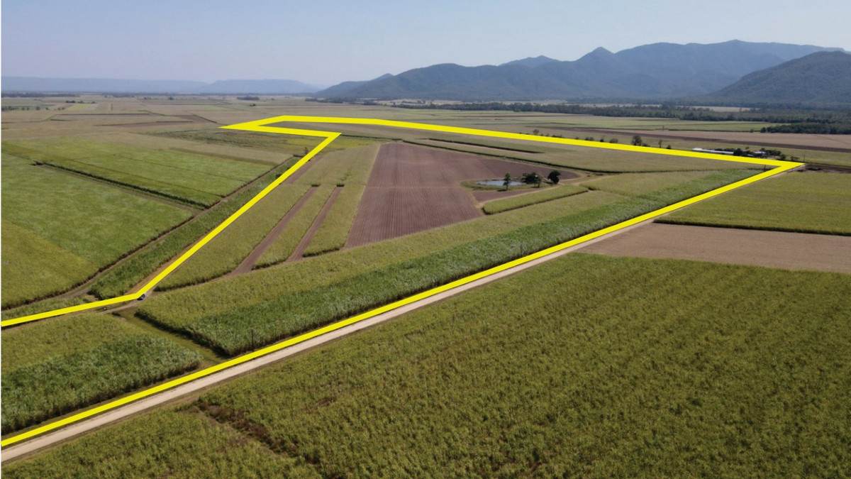Lot 2,  Hawkins Creek Road, Hawkins Creek For Sale by Farmbuy.com - image 12