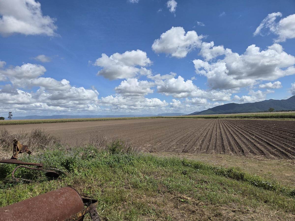 Lot 2,  Hawkins Creek Road, Hawkins Creek For Sale by Farmbuy.com - image 6