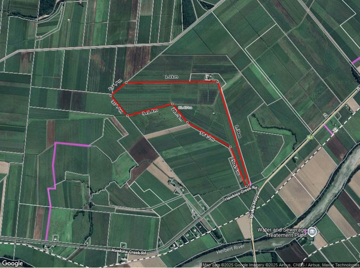 Lot 2,  Hawkins Creek Road, Hawkins Creek For Sale by Farmbuy.com - image 15