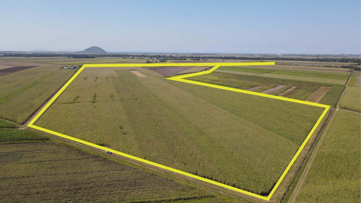 Lot 2,  Hawkins Creek Road, Hawkins Creek For Sale by Farmbuy.com - image 9
